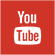 yt